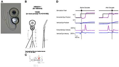 The Dynamics of Prosthetically Elicited Vestibulo-Ocular Reflex Function Across Frequency and Context in the Rhesus Monkey